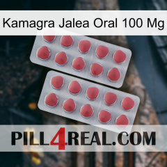 Kamagra Oral Jelly 100 Mg 19